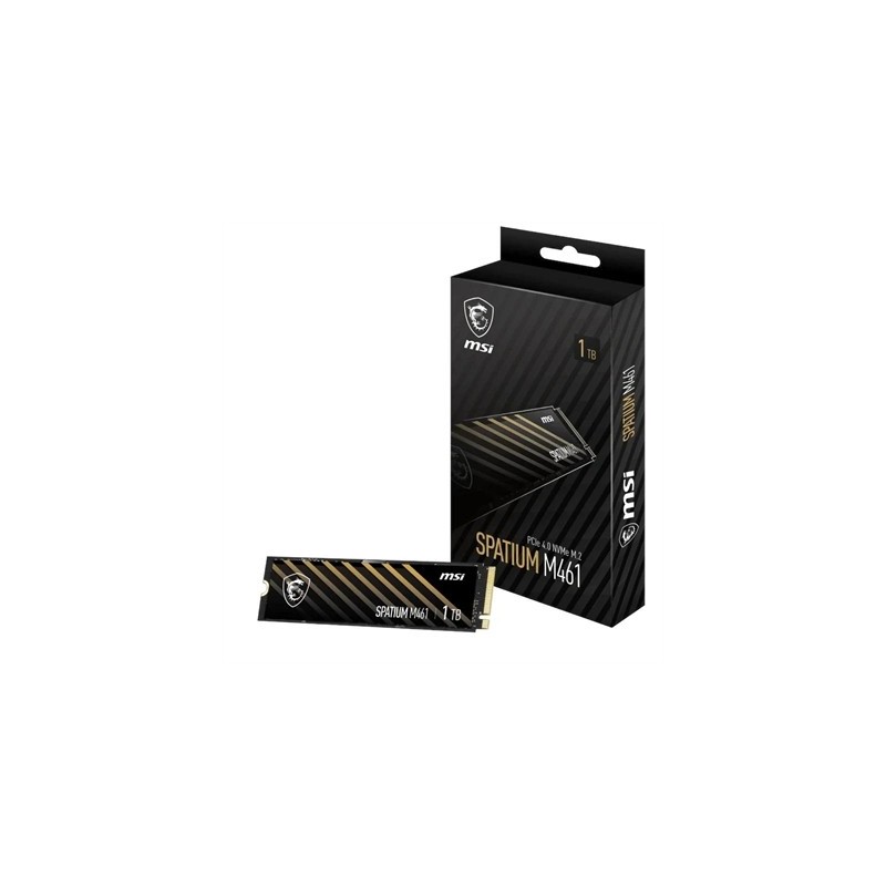 MSI SSD Spatium M461 1Tb PCIe 4.0 NVMe 5000 Mb-s