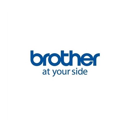 Brother Papel 12 Rollos 50x30mm