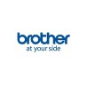 Brother Papel 12 Rollos 50x30mm