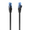 Aisens Cable RJ45 CAT.6 UTP AWG26 CCA Negro 25cm