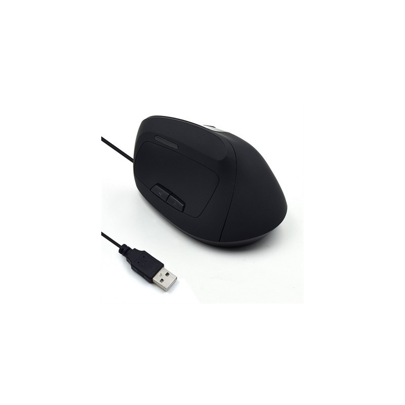Ewent EW3157 Ratón óptico Vertical Usb 2.0
