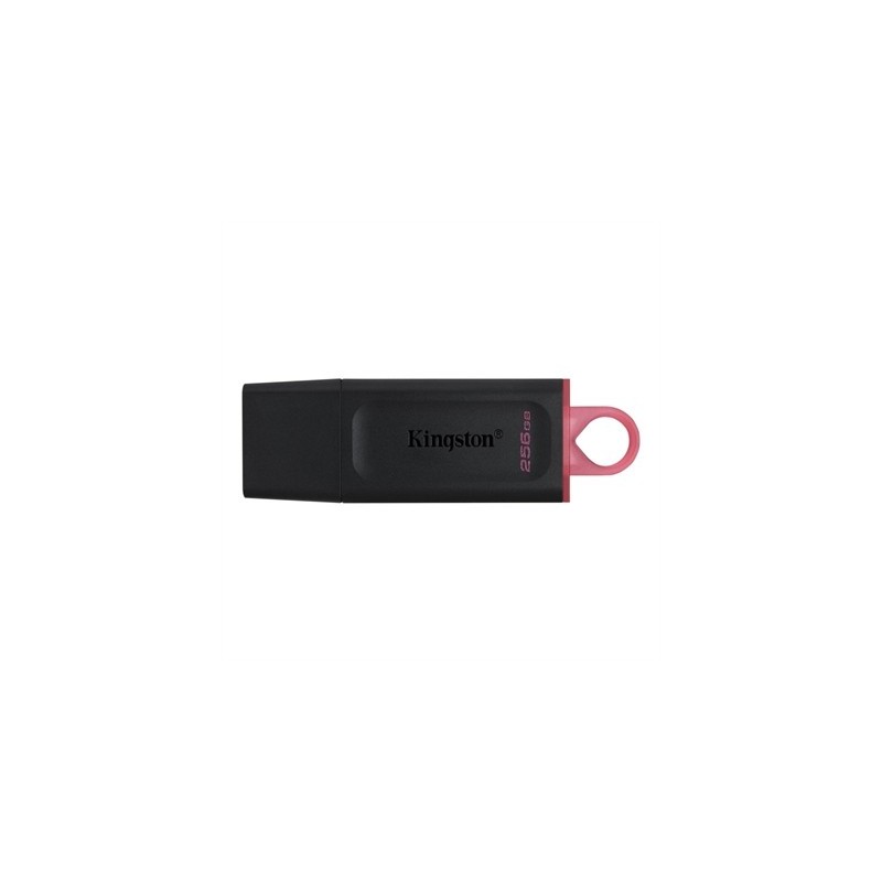 Kingston DataTraveler DTX 256GB USB 3.2 Gen1 Negro