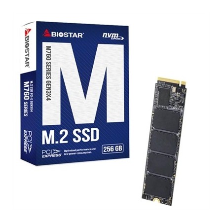 Biostar SSD M760 256Gb Pcie Gen3x4 NVMe 1.3