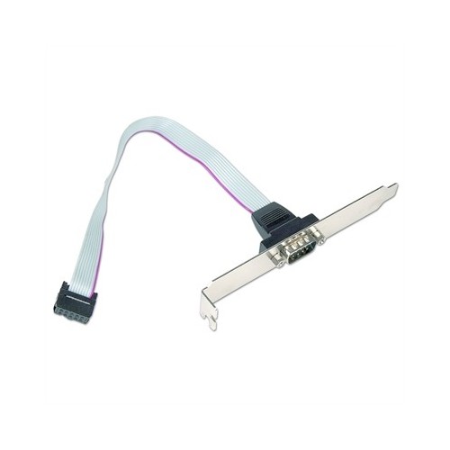 Gembird Cable DB9 Puerto Serie de 10pin 0,25mts