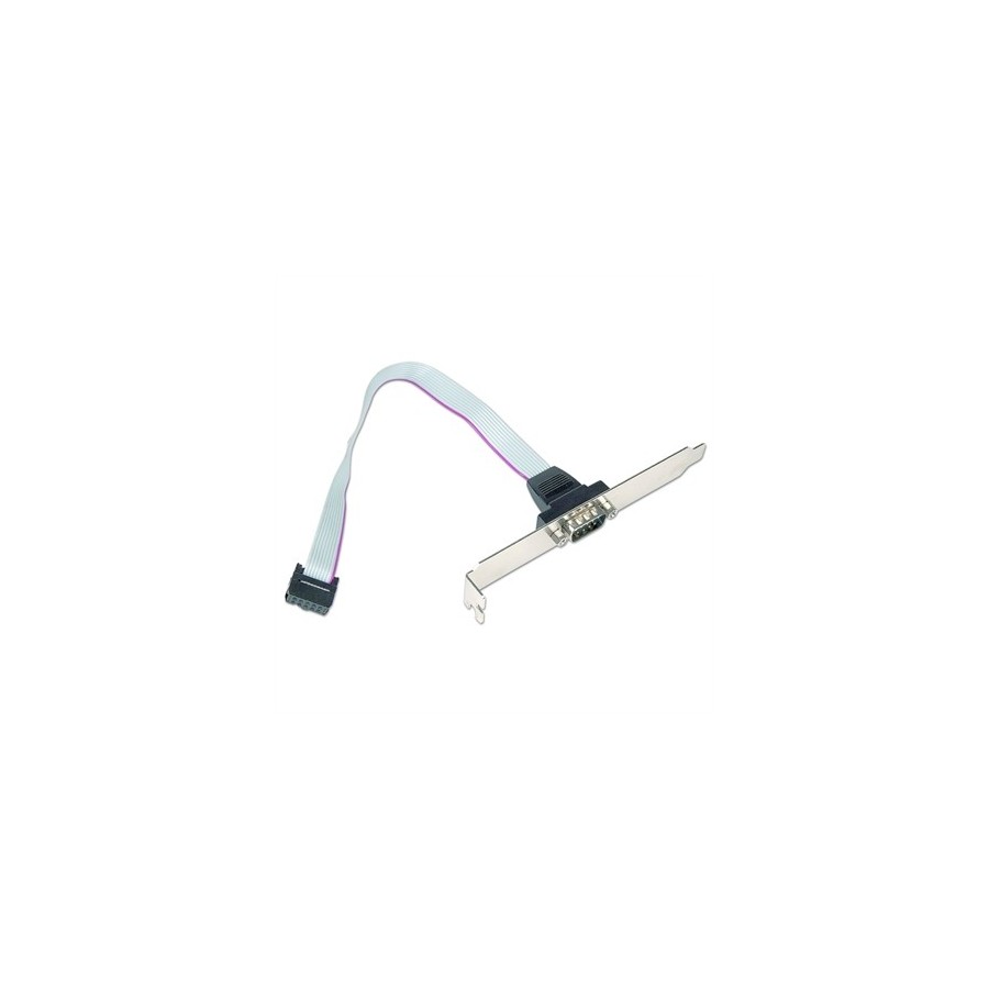 Gembird Cable DB9 Puerto Serie de 10pin 0,25mts