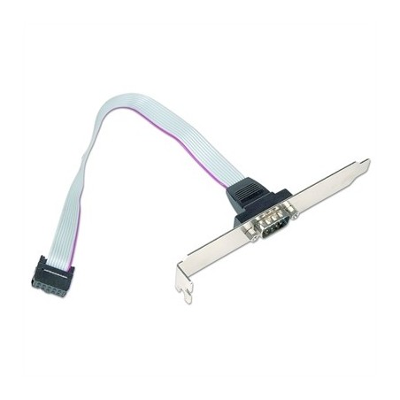 Gembird Cable DB9 Puerto Serie de 10pin 0,25mts